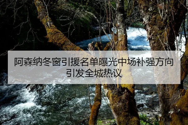 阿森纳冬窗引援名单曝光中场补强方向引发全城热议 - KaiyuanGames