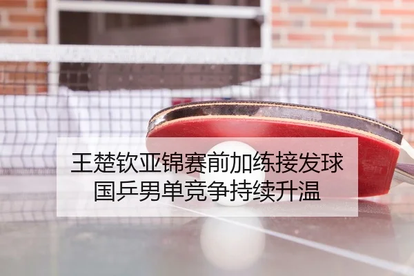 王楚钦亚锦赛前加练接发球 国乒男单竞争持续升温 - KaiyuanGames